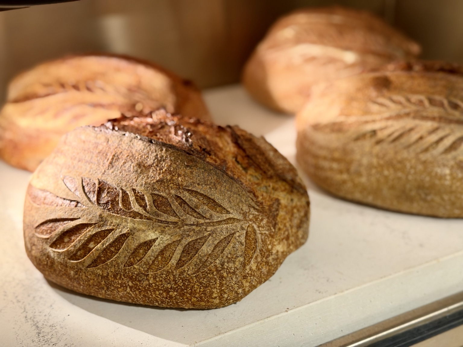 Freshly baked Biga Sourdough loaves resting on the bakery bench