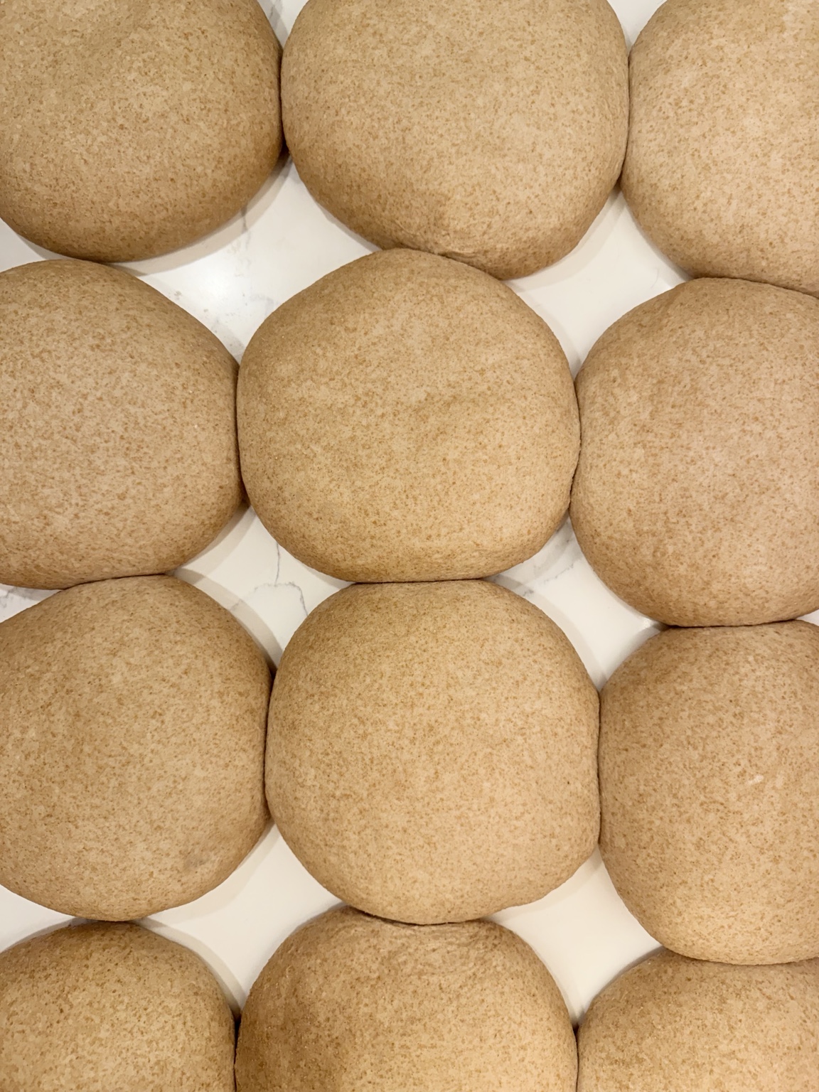 Rounds of whole-grain dough resting on the bench before baking